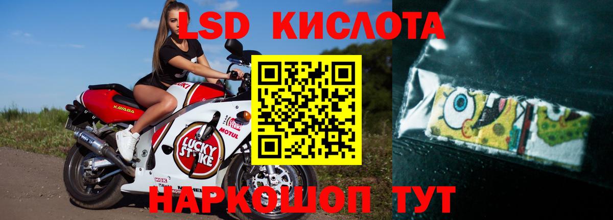 ЛСД экстази ecstasy Сегежа