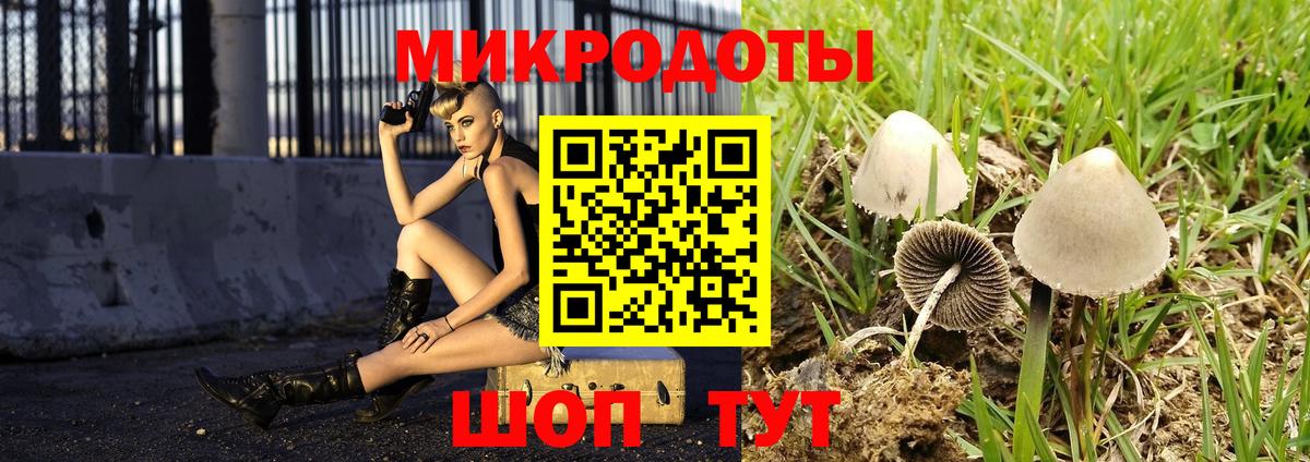 Сегежа  Галлюциногенные грибы MAGIC MUSHROOMS  Вход с VPN  Галлюциногенные грибы мицелий 